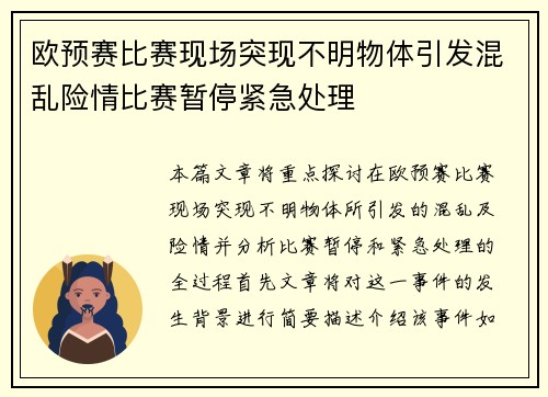 欧预赛比赛现场突现不明物体引发混乱险情比赛暂停紧急处理