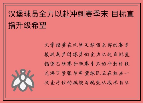 汉堡球员全力以赴冲刺赛季末 目标直指升级希望